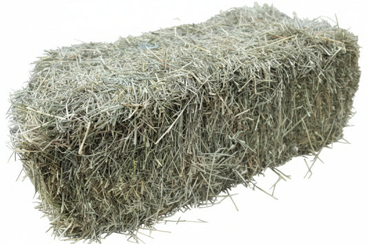 3-String Orchard Grass Hay