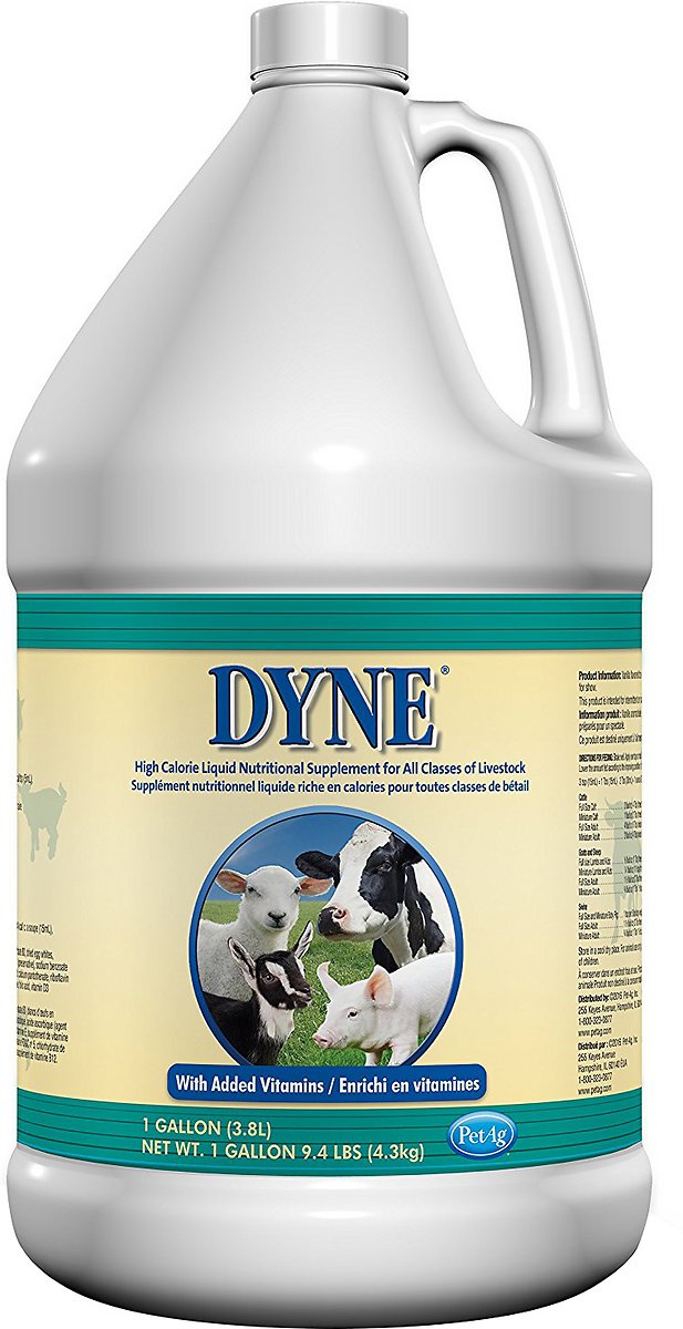 Dyne High Calorie Liquid Livestock Supplement, 1 Gal