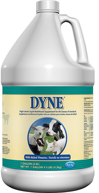 Dyne High Calorie Liquid Livestock Supplement, 1 Gal