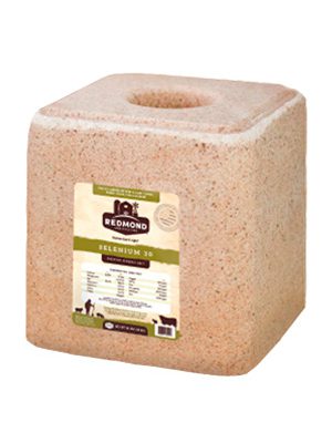 Redmond Selenium 30 Salt Block, 44lb