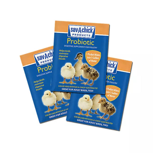 Sav-A-Chick® Probiotic Supplement – 3 pack