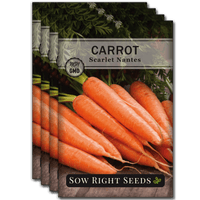 CARROT NANTES SEEDS