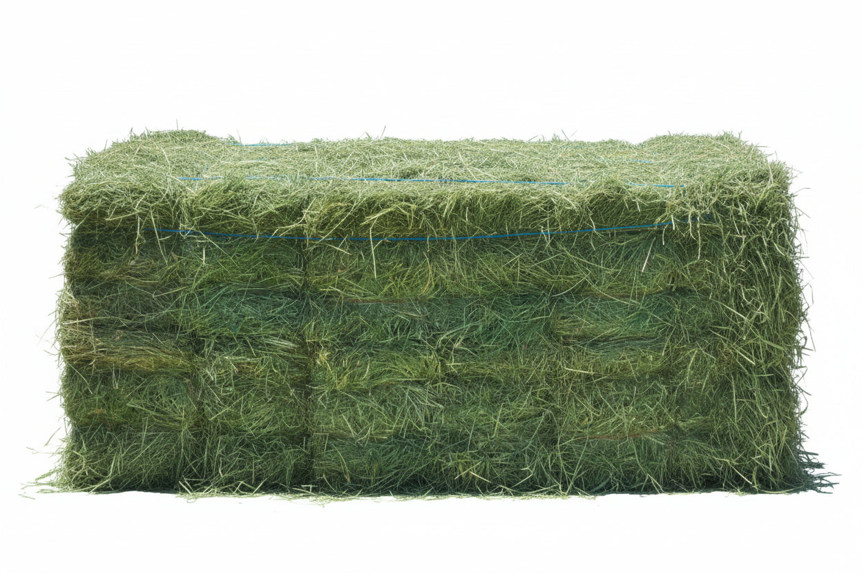 2-String Steamed Orchard Grass Hay