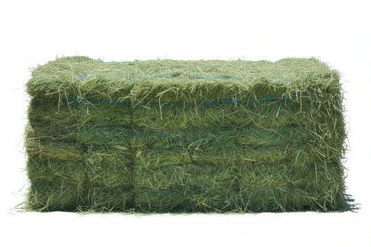 2-String Steamed Orchard Grass Hay