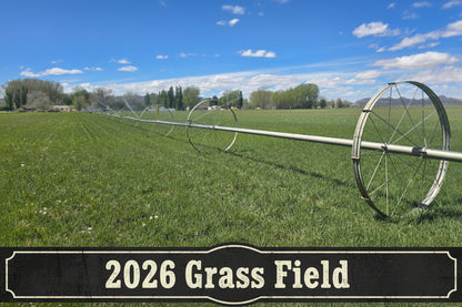 2-String Steamed Orchard Grass Hay