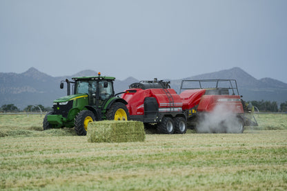 2-String Steamed Alfalfa Hay