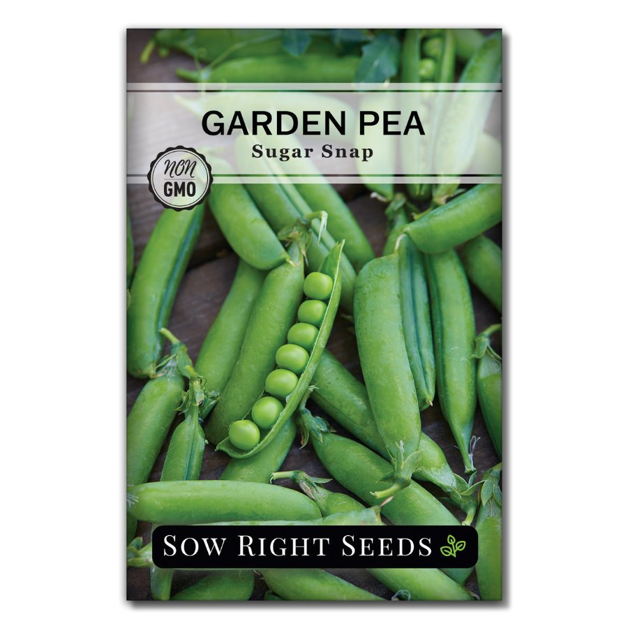 PEA SUGAR SNAP SEEDS