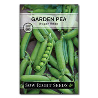 PEA SUGAR SNAP SEEDS