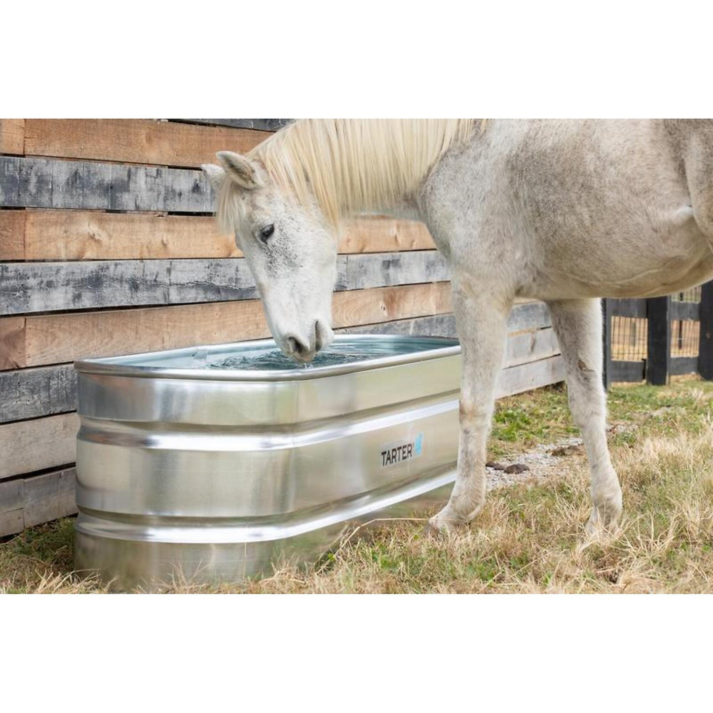 Tarter- Oval Mega Stock Tank 220 Gal
