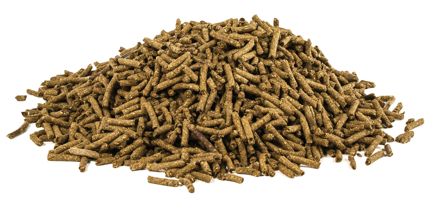 Vitamin C for Horses-1lb-UltraCruz