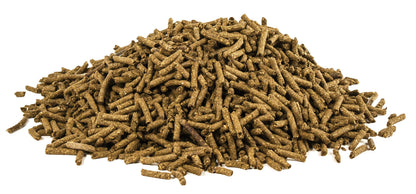 Vitamin C for Horses-1lb-UltraCruz