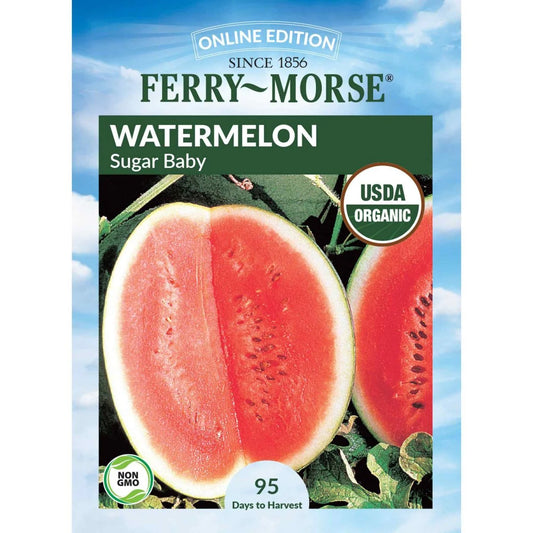 Watermelon, Sugar Baby Organic Seeds, 1.9g