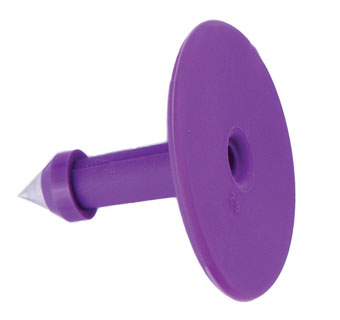 Y-Tex-All-American Male Blank Button Tag Purple 25-Box