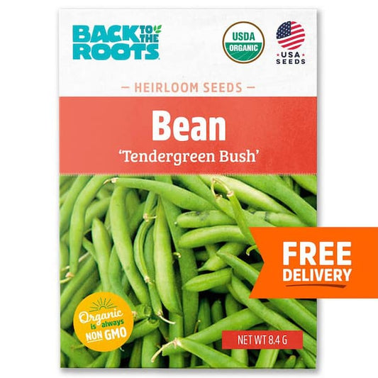 BEAN TENDERGREEN SEEDS 3OZ