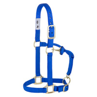 Weaver 1" Premium Nylon Yearling Halter - Adjustable Chin & Throat, Brass Hardware | Blue