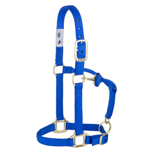 Weaver 1" Premium Nylon Yearling Halter - Adjustable Chin & Throat, Brass Hardware | Blue