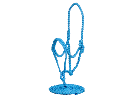 Flat Braided Halter with 10 ft Lead – Black, White, or Turquoise