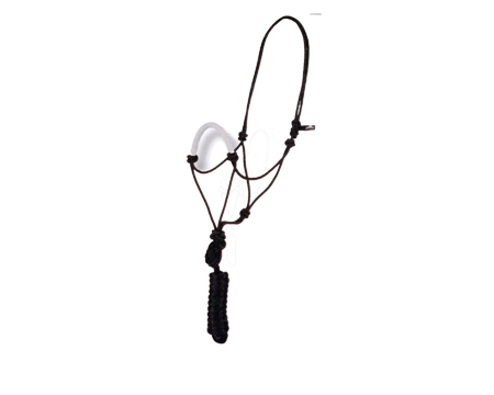 Rope Halter & Lead with Wrapped Noseband