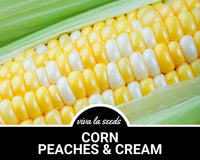 CORN PEACHES & CREAM 30Z