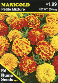 MARIGOLD PETITE SEEDS