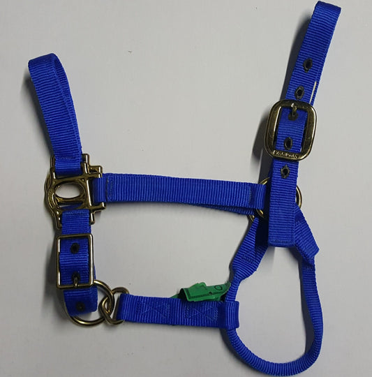 SE VALHOMA YEARLING/SMALL HALTER BLUE