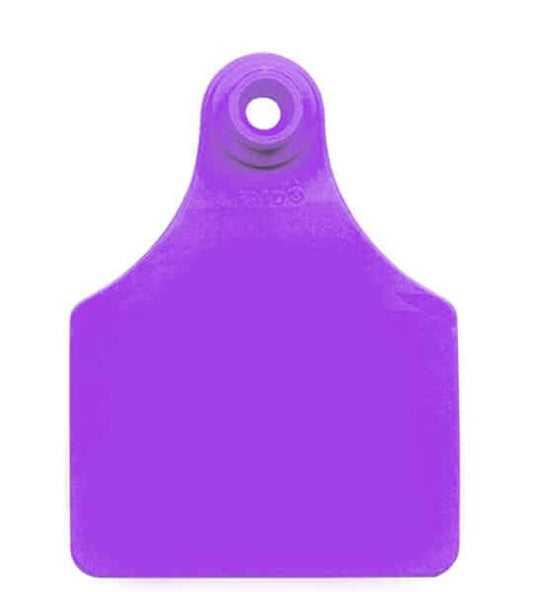 ALL FLEX LG FEM PURPLE