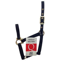Valhoma Nylon Horse Halter – 1" Webbing | Brass Plated Hardware