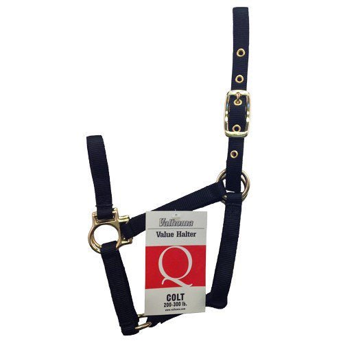 Valhoma Nylon Horse Halter – 1" Webbing | Brass Plated Hardware