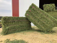3-String Alfalfa Hay