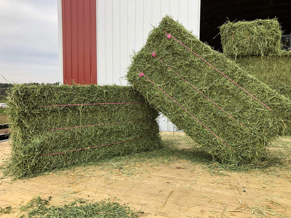 3-String Alfalfa Hay