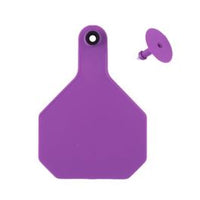 Y TEX BLANK COMBO BUTTON (PP)
